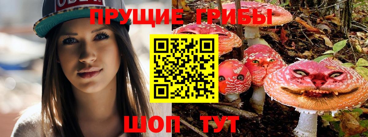 Зерноград  Галлюциногенные грибы Psilocybine cubensis  Вход с VPN  Галлюциногенные грибы GOLDEN TEACHER 