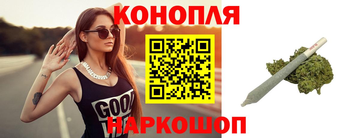 Конопля гибрид Зерноград